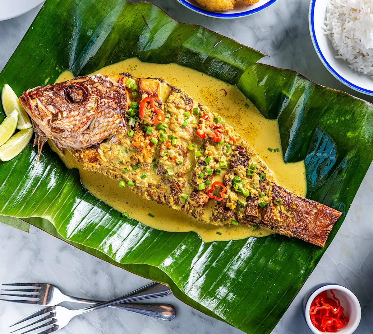 CelebratoryNightDC Bammys fish feature