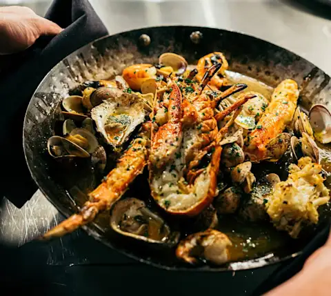 CxBlog-DD-Maple-&-Ash