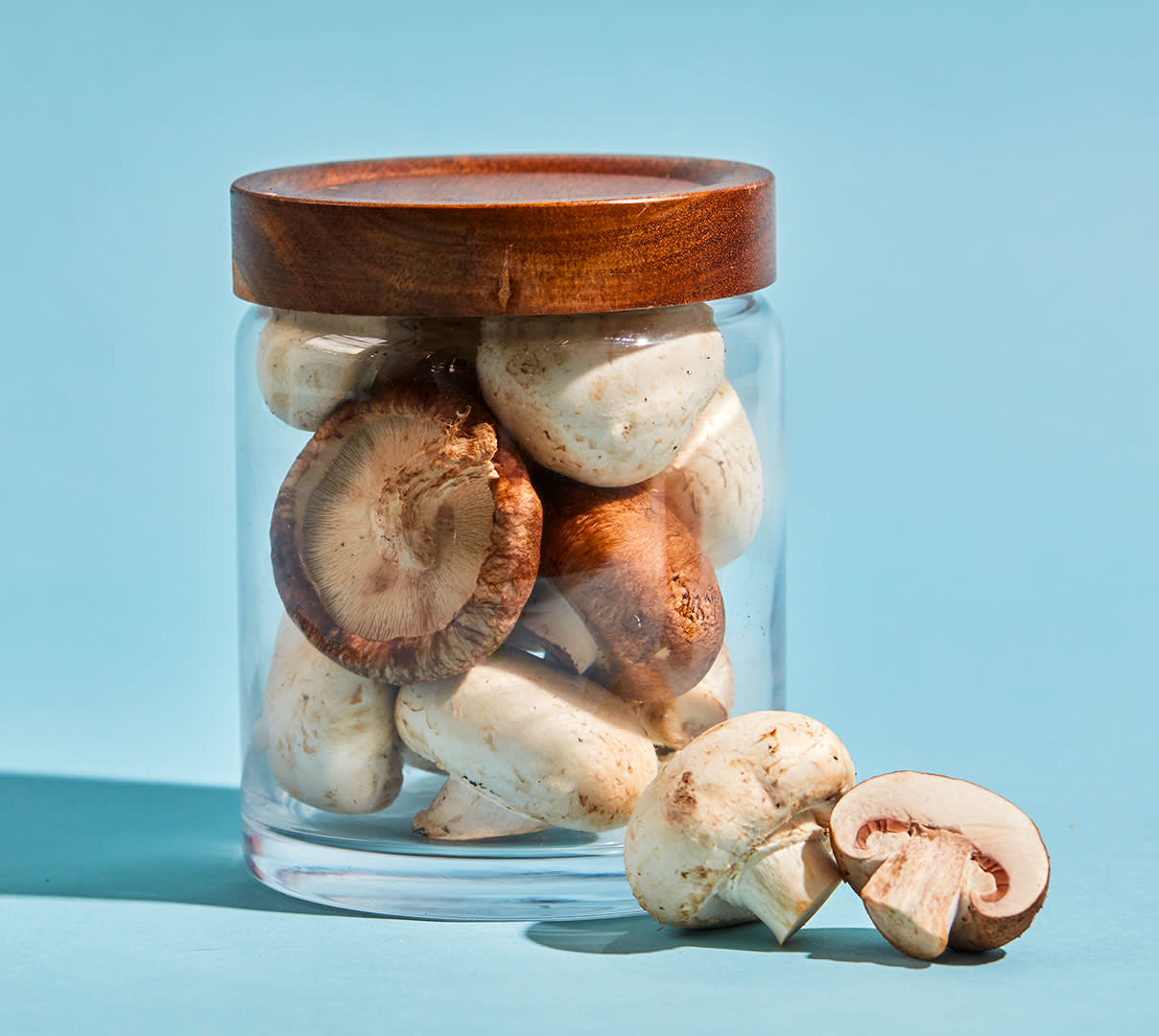 CxBlog-DD-MUSHROOMS-LEAD