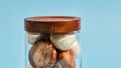 CxBlog-DD-MUSHROOMS-LEAD