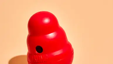 CxBlog-DD-KONG-LEAD
