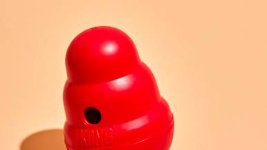 CxBlog-DD-KONG-LEAD