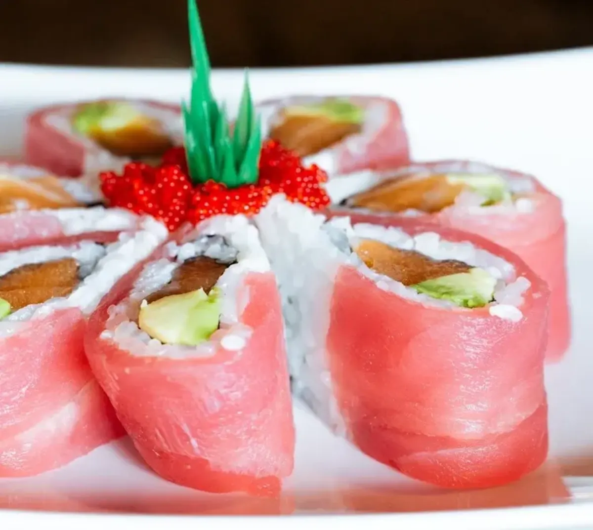 sushi land - cherry blossom