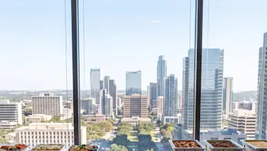 Tex-Mex food, breakfast tacos, bbq served in platters in an office in Austin