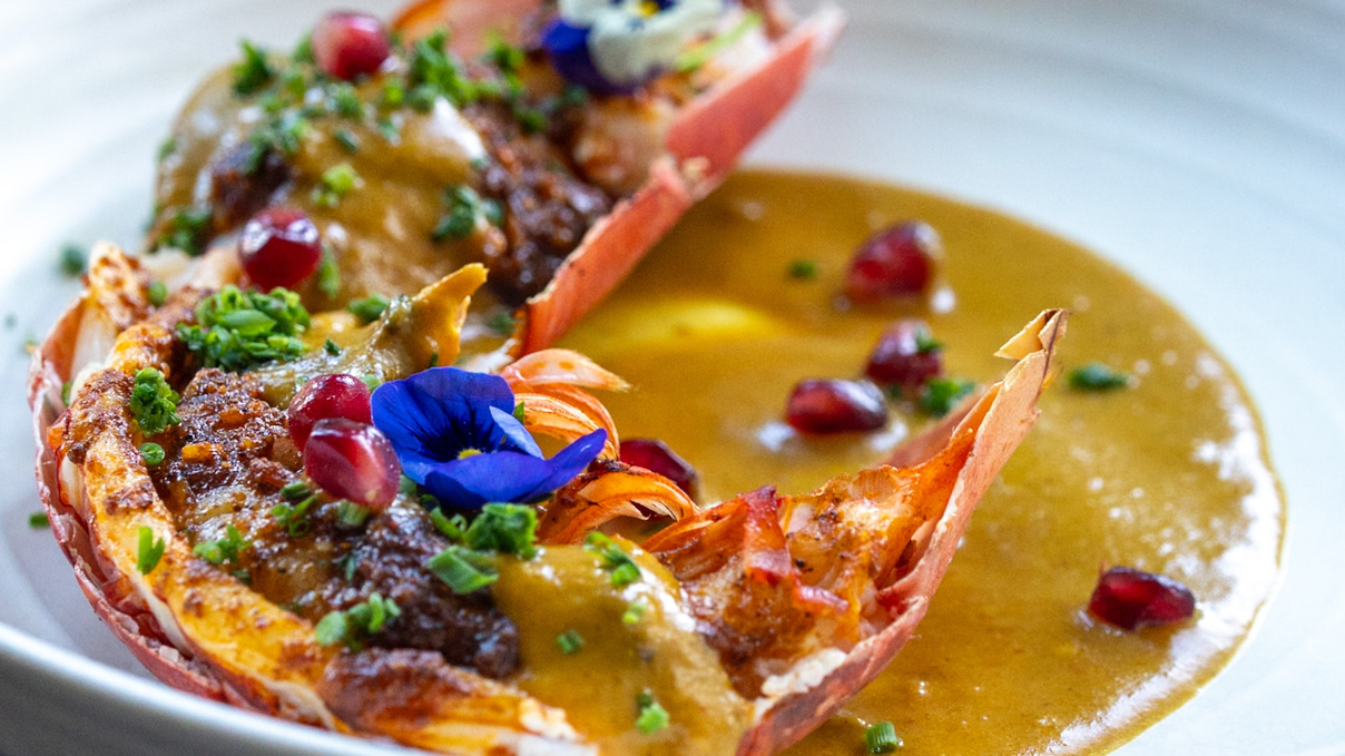 Mx - Blog - Daru Casestudy - Lobster