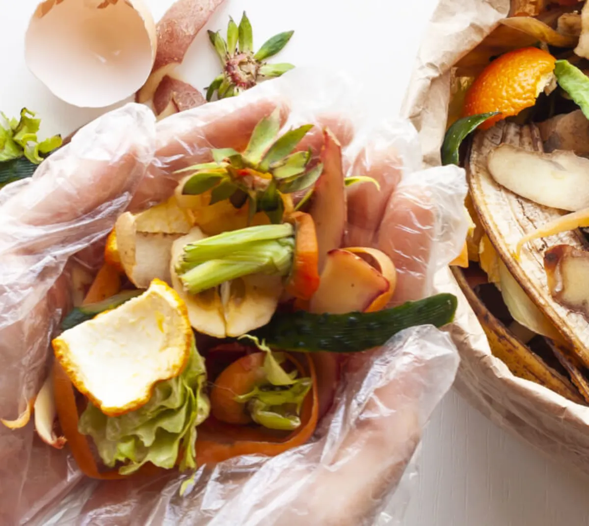 blog-hero-1920x678-v43.01.01