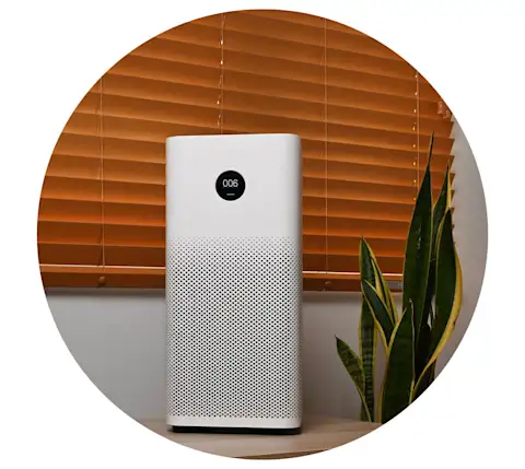 CxBlog-DD-Allergies-Home