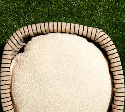 CxBlog-DD-Puppy-Bed