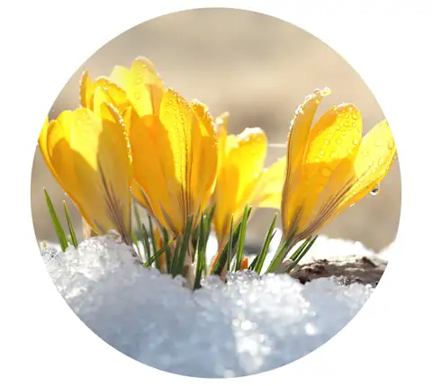 CxBlog-DD-Allergies-Prepare