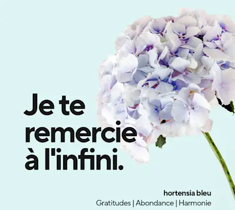 Mx Blog- A Florist's Guide to Flower Card Messages and Meanings - Consider yourself massively thanked