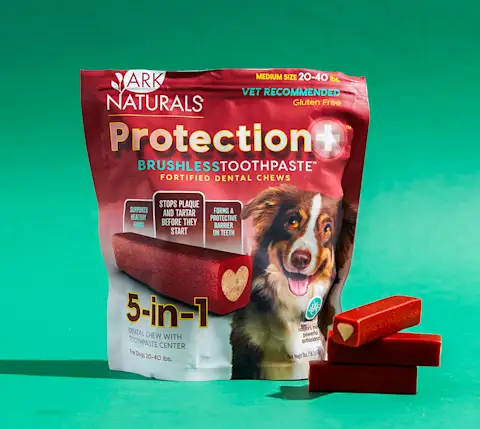 CxBlog-DD-DogTreats-Protection