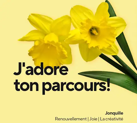 Mx Blog - A Florist's Guide to Flower Card Messages and Meanings - Love this journey