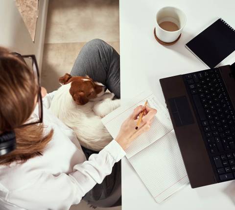 DDfB - Blog - 31 Corporate Perks Employees Really Want at Work - dog on lap of employee working in front of laptop