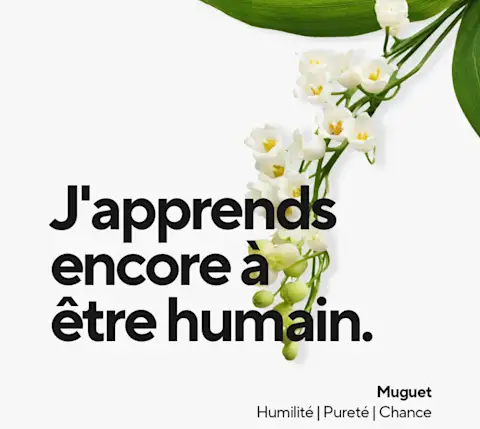 Mx Blog  - A Florist's Guide to Flower Card Messages and Meanings - learning how to human