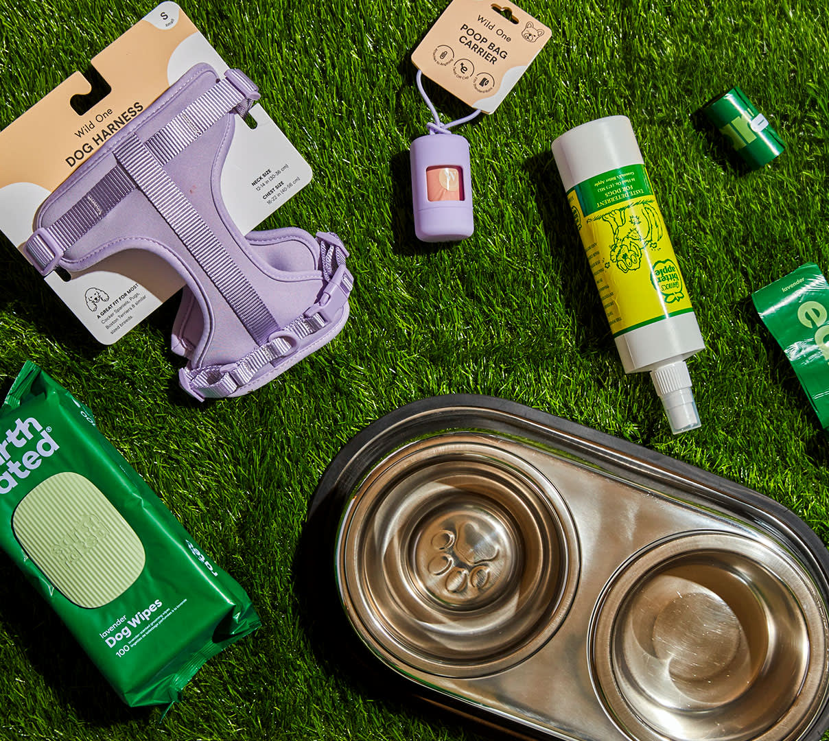 CxBlog-DD-Puppy-LEAD