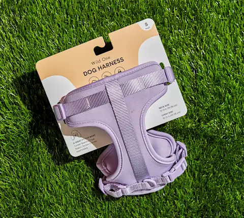 CxBlog-DD-Puppy-WildOneHarness