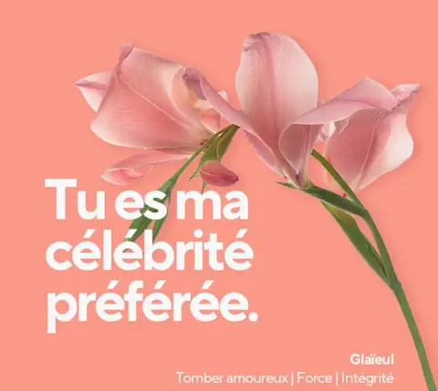 Mx Blog (US/CA/AU/NZ) - A Florist's Guide to Flower Card Messages and Meanings - celebrity crush