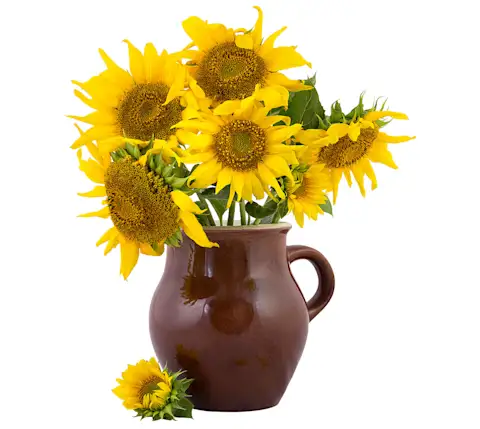 CxBlog-Gifts-CatchAll-Sunflower