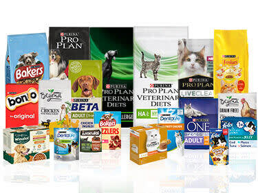 Ads - Purina Case Study - Hero Image