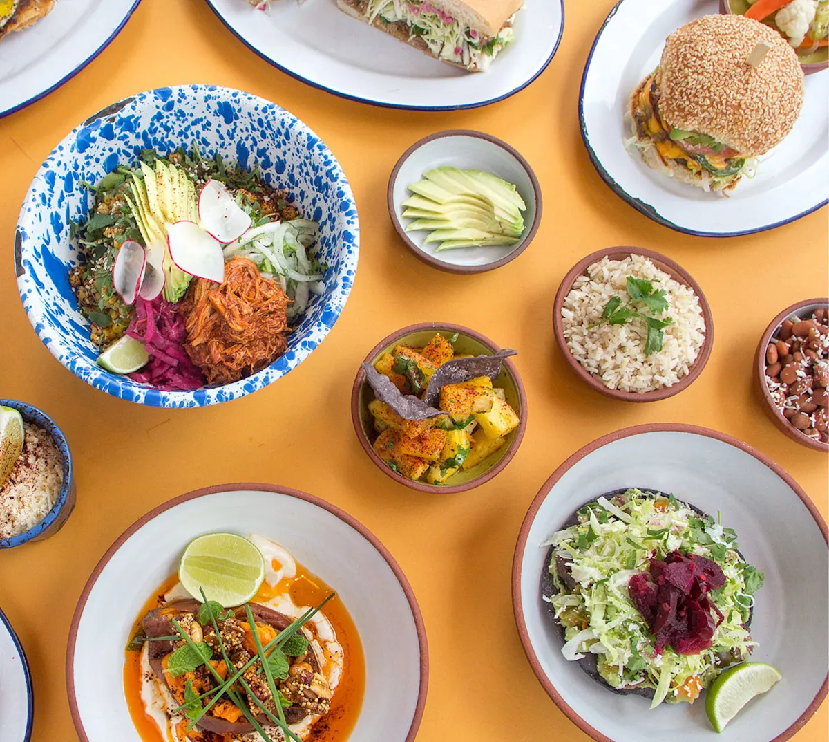 Cav Blog - Best in Philadelphia