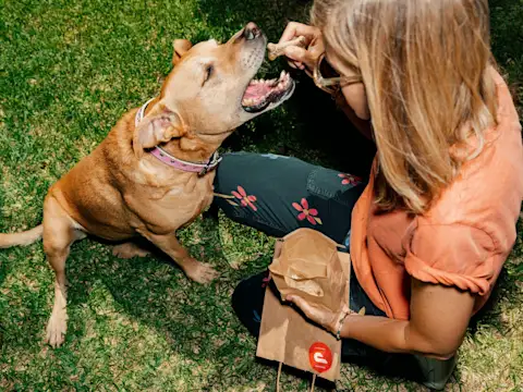 Mx - Pet Stores - Value Prop - Grow your pet store business