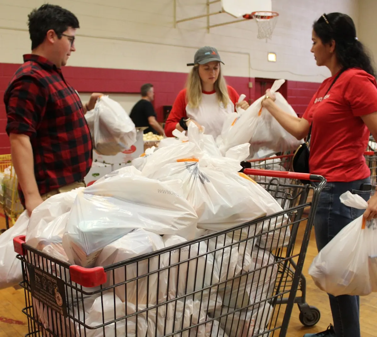 Allan Gardens Food Bank Community Credits