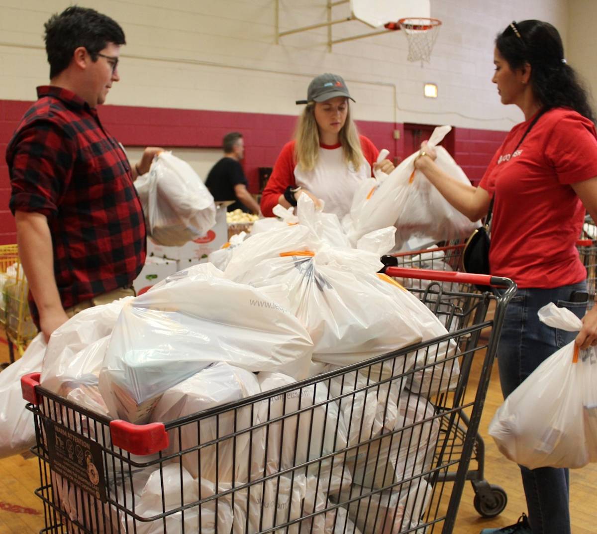 Allan Gardens Food Bank Community Credits