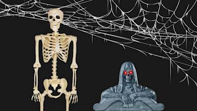 CxBlog-DD-HWDecor-LEAD