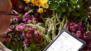 Mx Learning Center (Global) - Customer Analytics