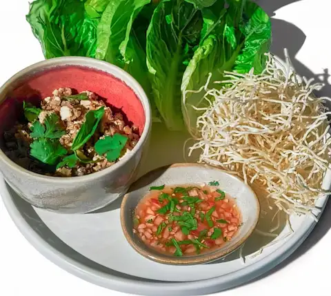 CxBlog-DD-MiamiBest-Planta