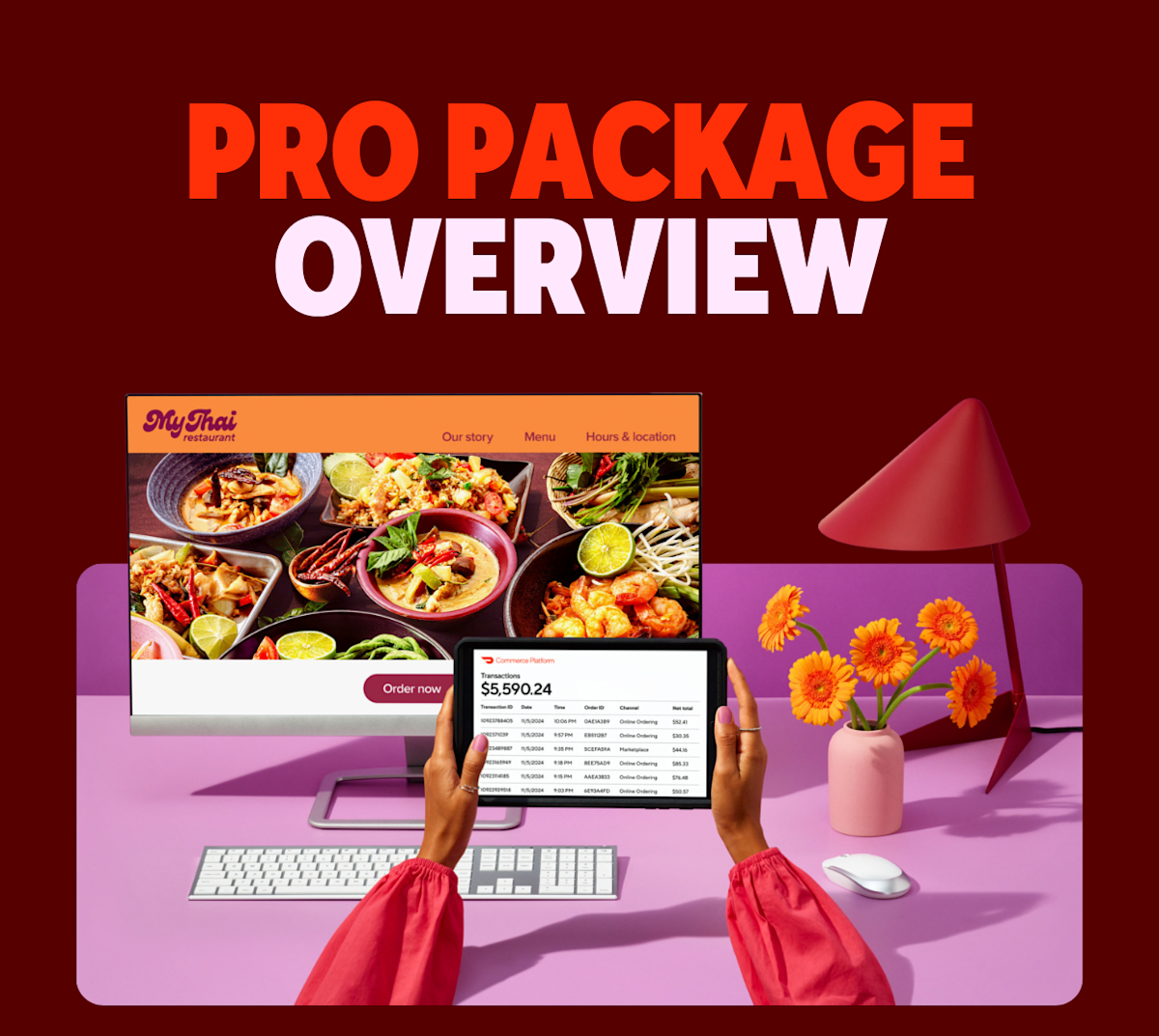 MX - Learning Center - DCP - Pro Overview