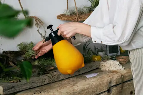 Mx Blog - The Best Professional Flower Tools for Your Business - Flower food