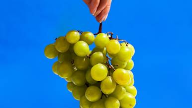 CxBlog-DD-Grapes-LEAD