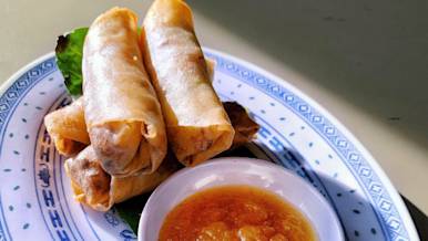 BestChineseDenver MetaAsianKitchen eggrolls feature