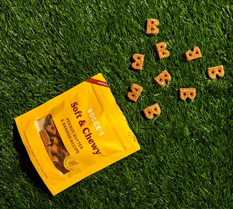 CxBlog-DD-Puppy-BocceTreats