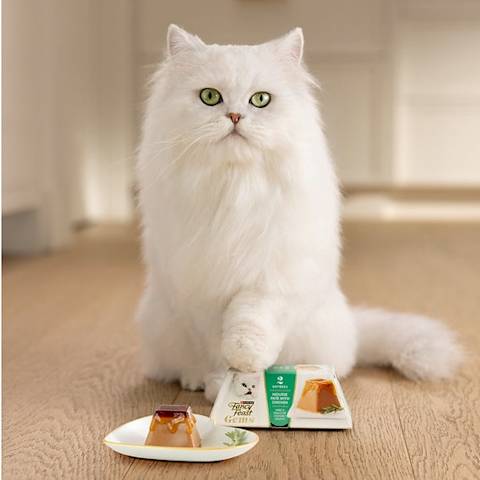 Ads - Purina Case Study - Cat Image