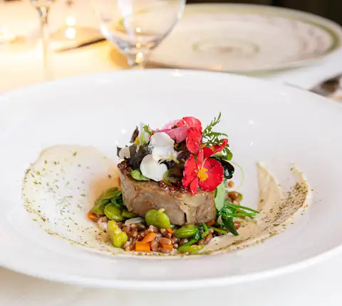 CelebratoryNightDC 1789 dish article