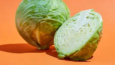 CxBlog-DD-Cabbage-Lead