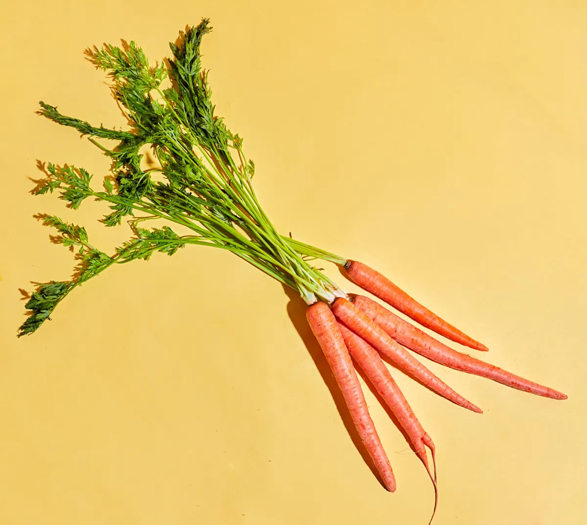 CxBlog-DD-Carrots-LEAD