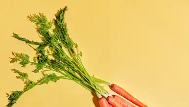 CxBlog-DD-Carrots-LEAD