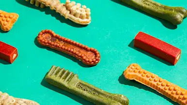 CxBlog-DD-DogTreats-LEAD