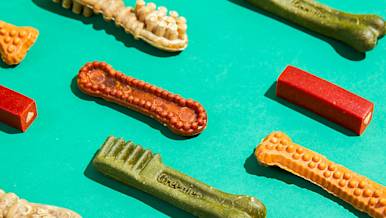CxBlog-DD-DogTreats-LEAD