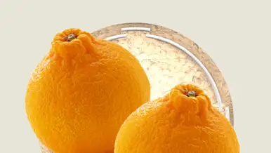 CxBlog-DD-Sumo2