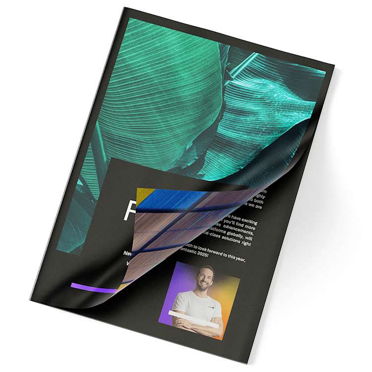 NZ Newsletter 2
