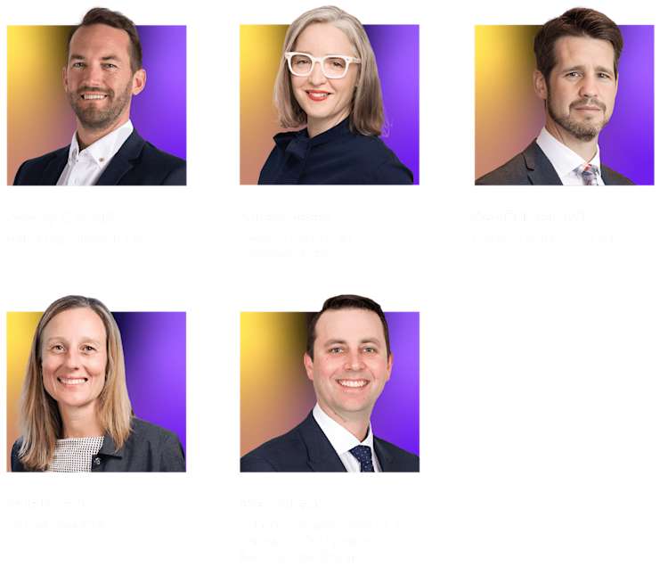 NZ Webinar Panel