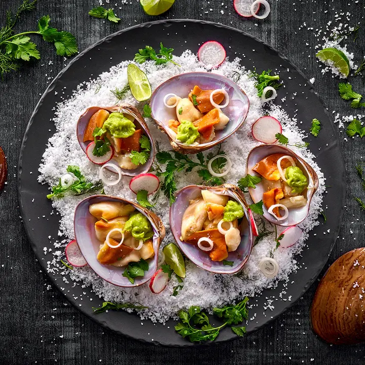 81761-wfmex-lifestyle-almeja-chocolata-pescados 720x720-3