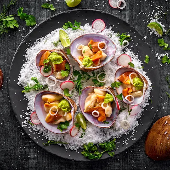 81761-wfmex-lifestyle-almeja-chocolata-pescados 720x720-3