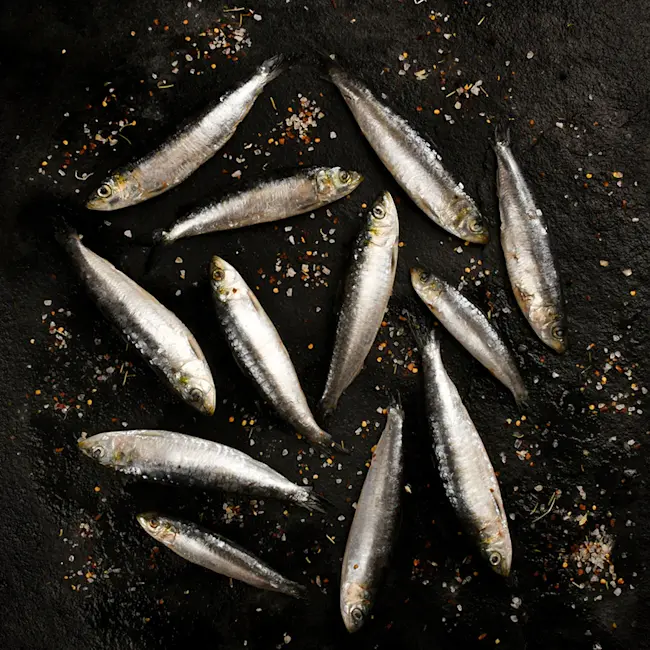 80516-sardinas-espanolas