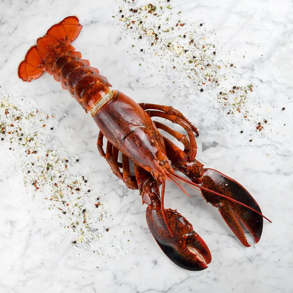 80642-bogavante-entero-cocido-crudo-opt_x2000.progressive_976b4f28-1a9d-4cc8-9232-eaf165634cfe