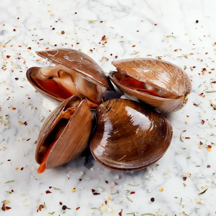 81761-wfmex-raw-almeja-chocolata-pescados 720x720-1